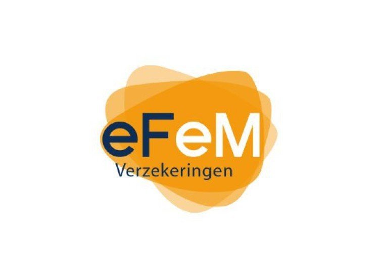 Efem verzekeringen logo