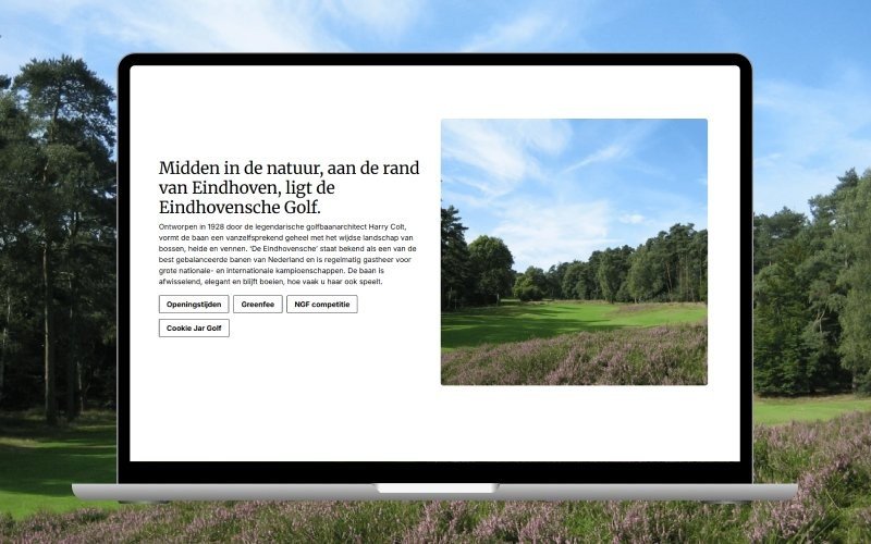 Eindhovenschegolf 07